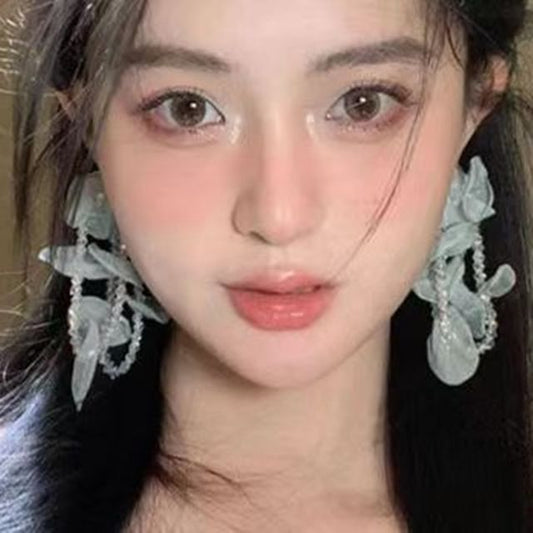 Earring Drop Mesh Beaded