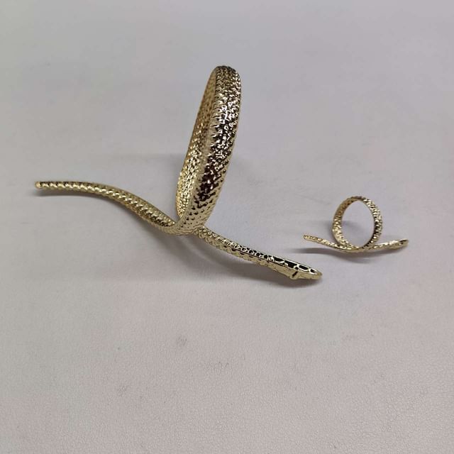 Set: Bangle Snake + Ring