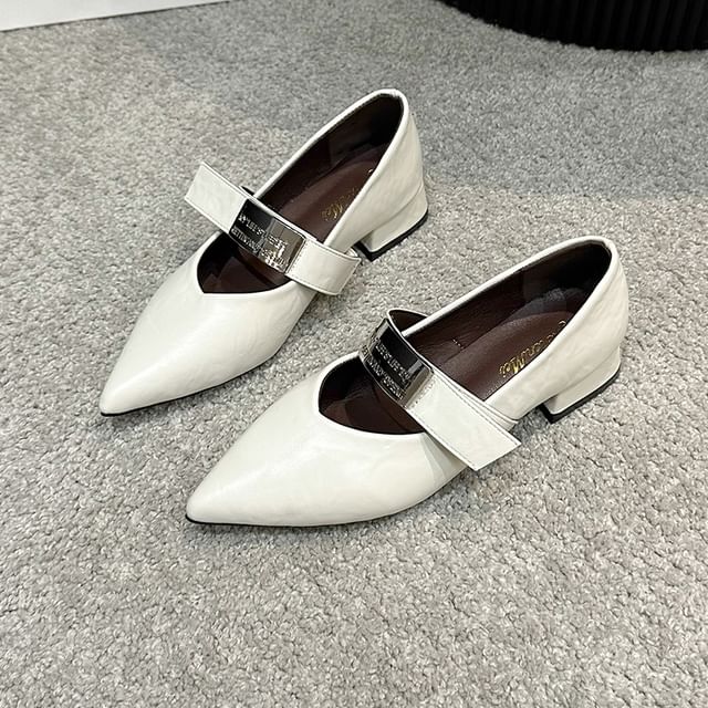Shoes Heel Buckled Chunky Mary Jane Pointy