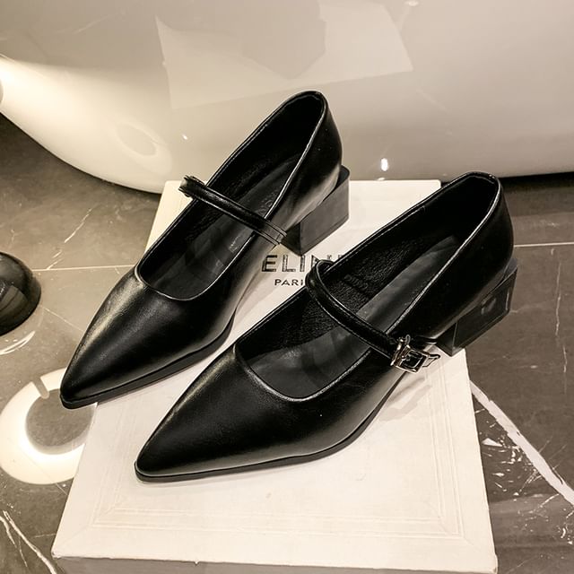 Shoes Mary Jane Pointy Heel Chunky