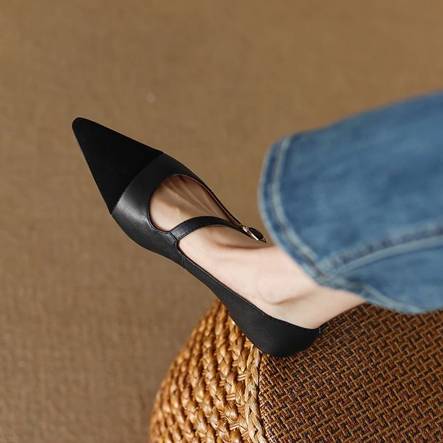 Pointed Leather Flats Faux