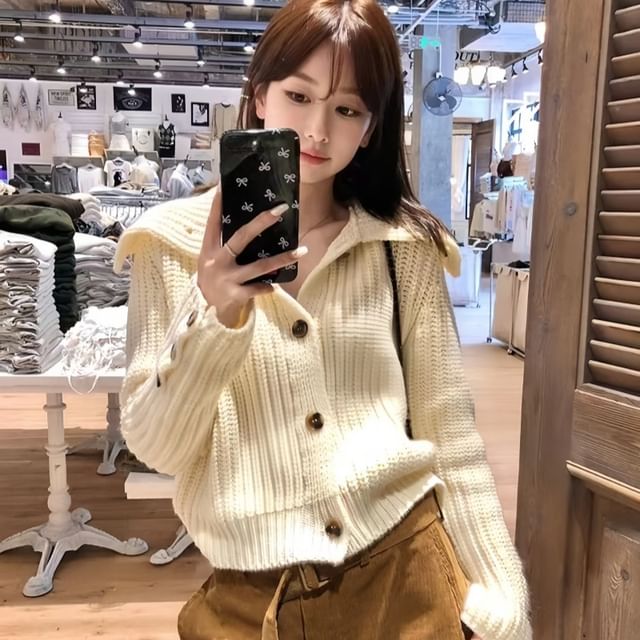 Chunky Knit Collared Plain Cardigan