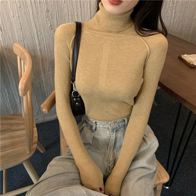 Turtleneck Ribbed Long Sleeve Knit Top