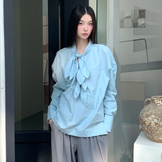 Ruffled Long Sleeve Blouse