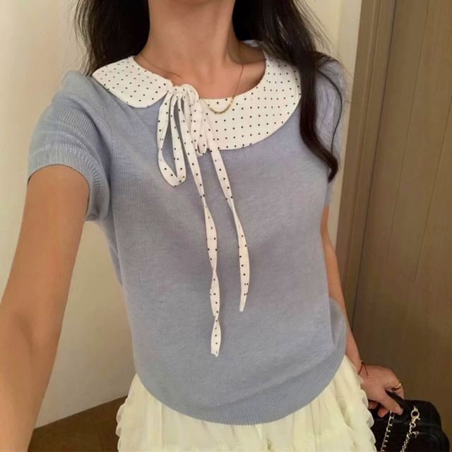 Dotted Panel Knit Top with Short Sleeves