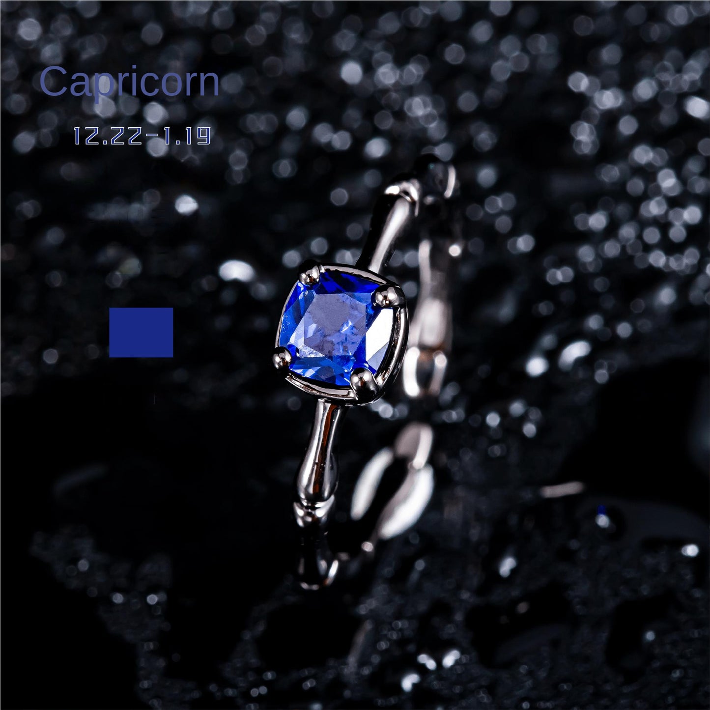 Twelve Constellations Rings Susan