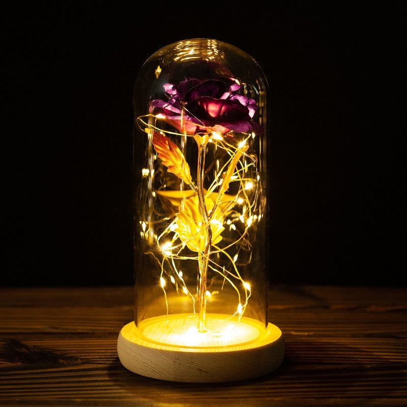Rose LED Light In Glass MK Kawaii Store